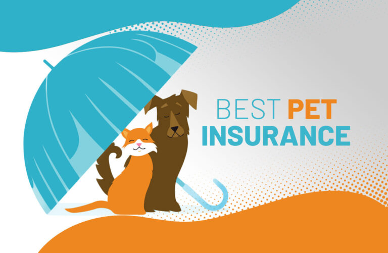 Best Pet Insurance Companies in the U.S